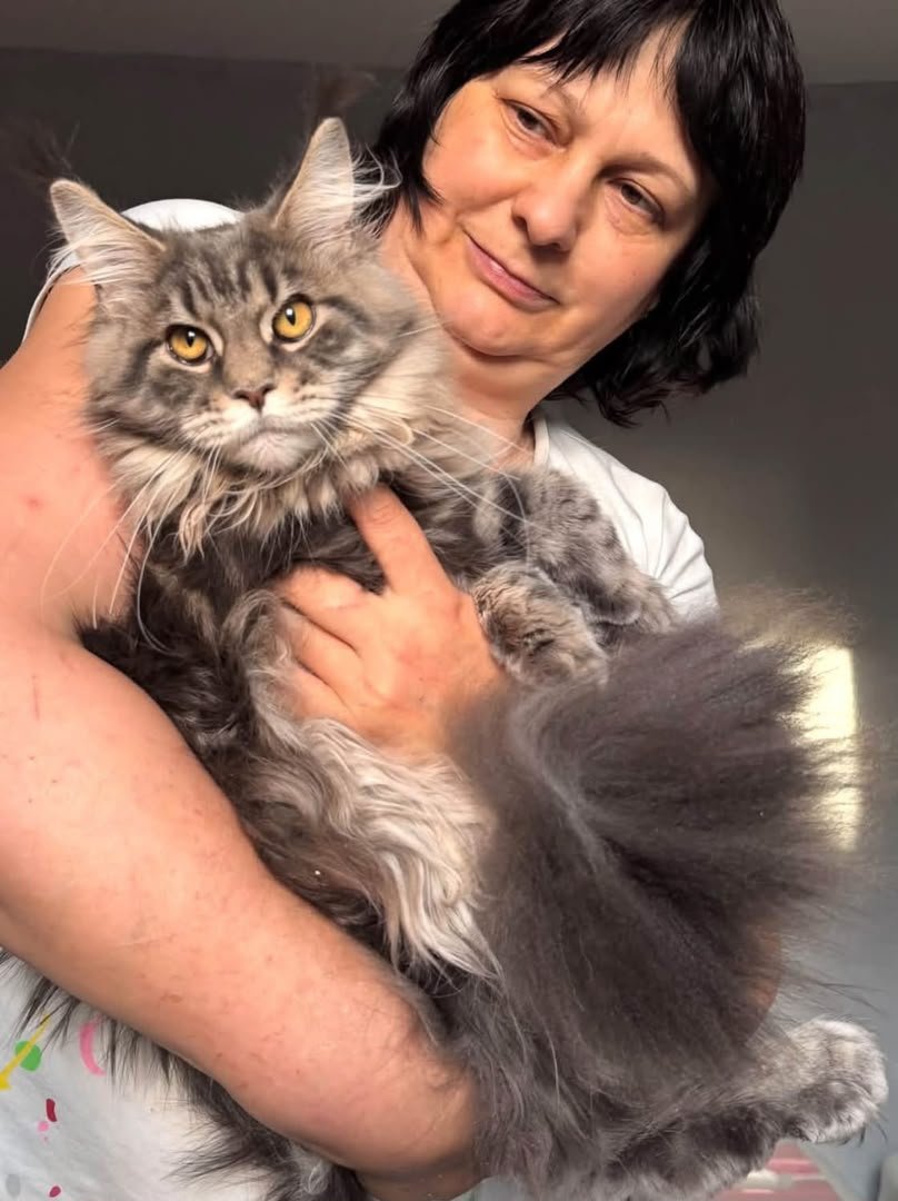 Me with my very first Maine Coon