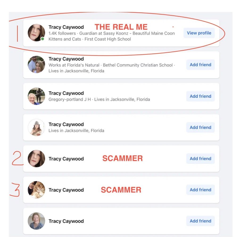 Compare the account name and link carefully
