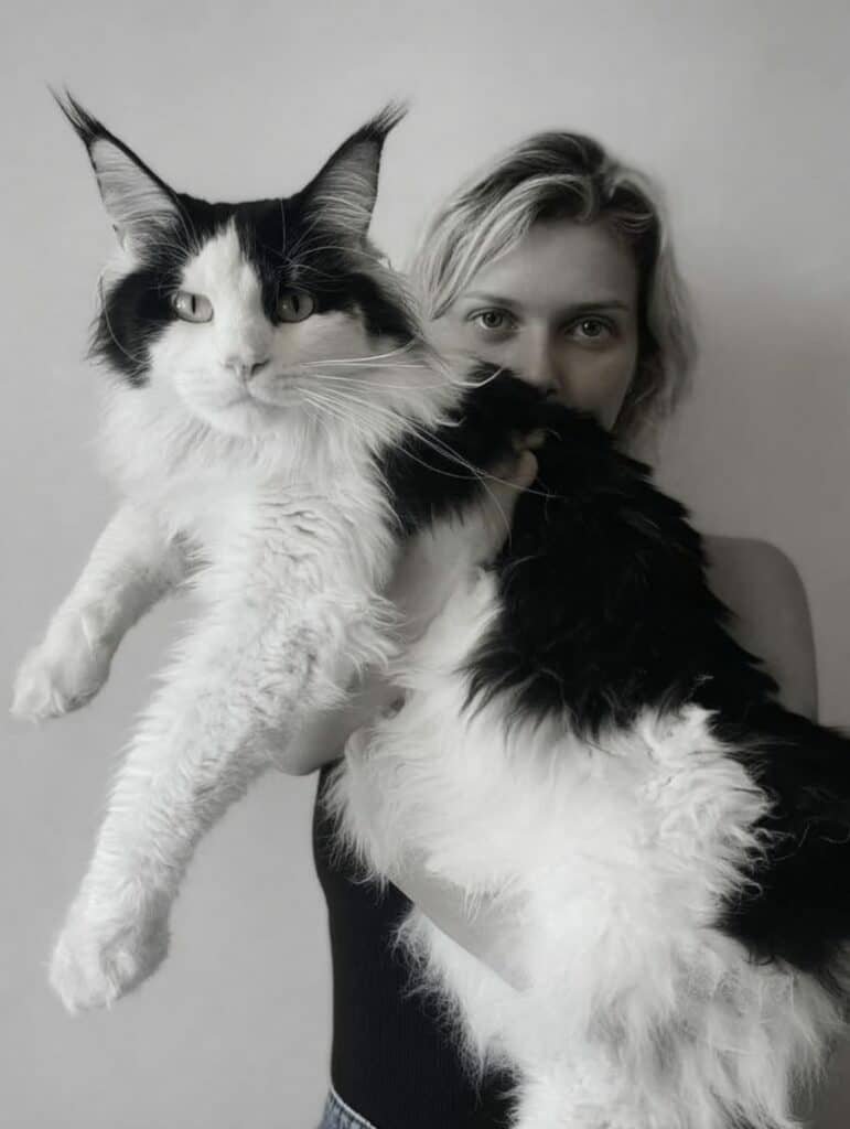 Black and White adult