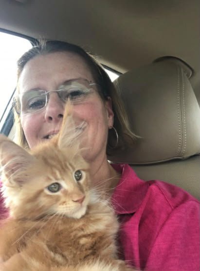 I would highly recommend Ablues Maine Coon Cattery to anyone interested in Maine Coons