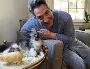 We Made the Right Choice with Ablues Maine Coon Cattery